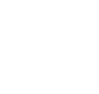 ORGANISER