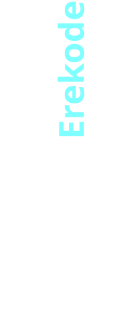 Hoërskool Delmas Erekode